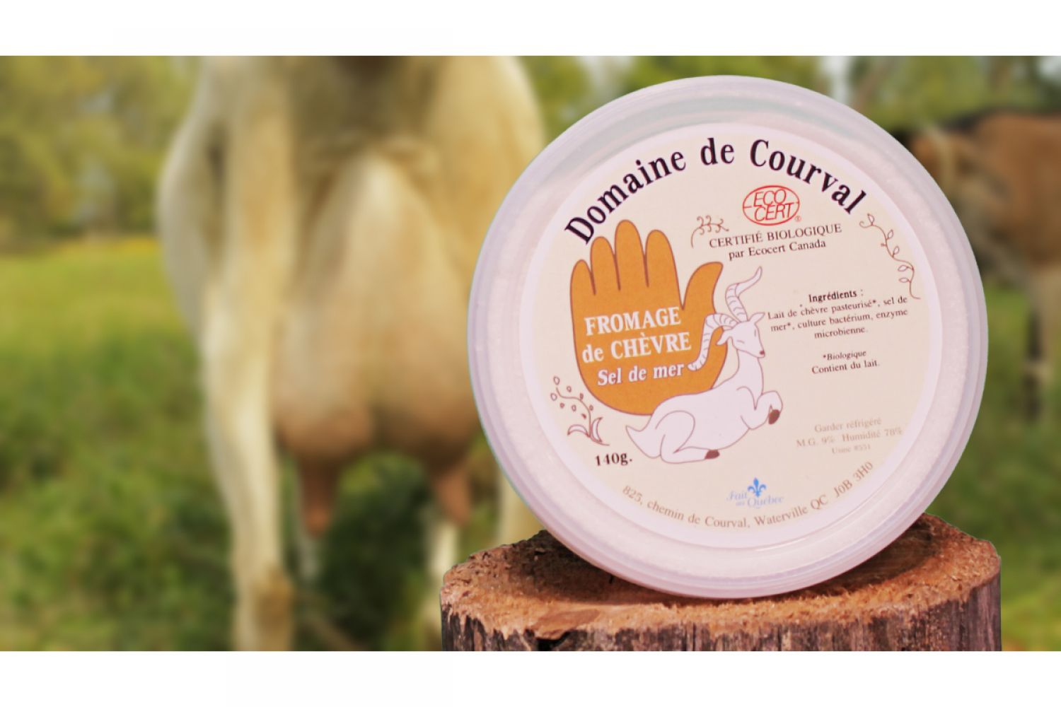 Domaine de Courval, fromage, chèvre, fromagerie