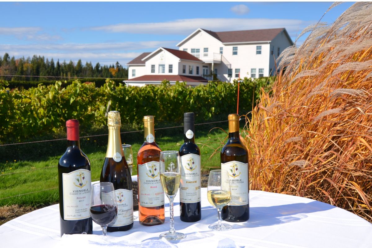 Vignoble du Chemin de la Rivière, vignoble, vin, vin blanc, vin rouge, vin fortifié, vin de glace